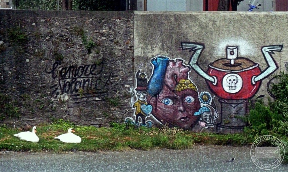 Graffiti Art: Red Spray & Swans- Lake Como, Italy