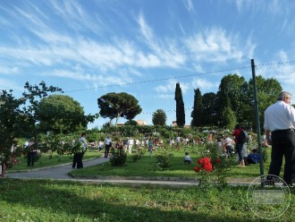 italy photography photos rose garden rome